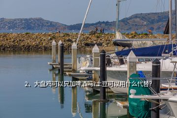 2、大盤雞可以只加啤酒嗎?土豆可以用什么代替？