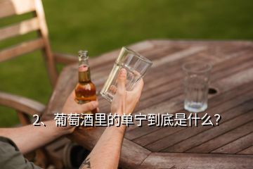 2、葡萄酒里的單寧到底是什么？