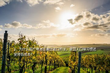 3、為什么國(guó)產(chǎn)啤酒普遍比進(jìn)口的淡，是國(guó)人口味習(xí)慣還是降低成本？