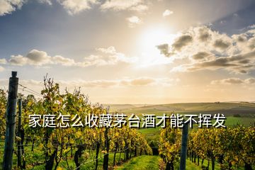 家庭怎么收藏茅臺酒才能不揮發(fā)