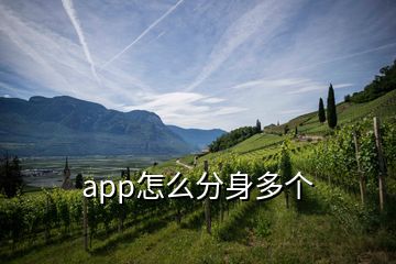 app怎么分身多個(gè)