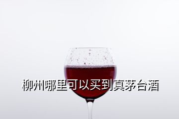 柳州哪里可以買到真茅臺酒