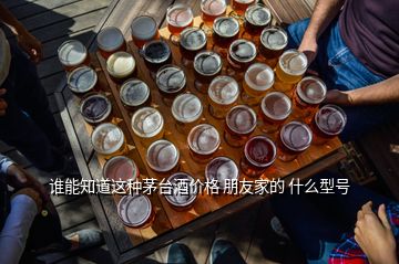 誰能知道這種茅臺酒價格 朋友家的 什么型號