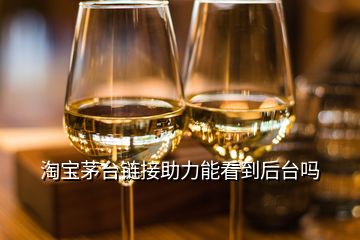 淘寶茅臺(tái)鏈接助力能看到后臺(tái)嗎