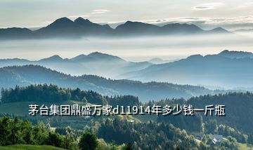 茅臺集團鼎盛萬家d11914年多少錢一斤瓶