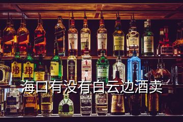 海口有沒有白云邊酒賣