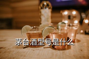 茅臺酒型號是什么