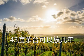 43度茅臺(tái)可以放幾年