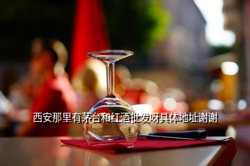 西安那里有茅臺(tái)和紅酒批發(fā)呀具體地址謝謝