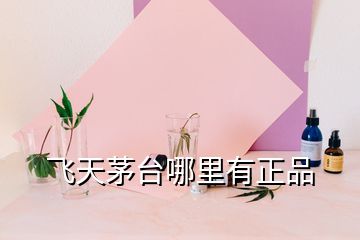 飛天茅臺哪里有正品