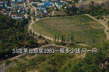 53度茅臺原漿1983一瓶多少錢 問一問