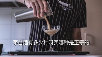 茅臺酒有多少種呀買哪種是正宗的