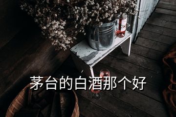 茅臺(tái)的白酒那個(gè)好