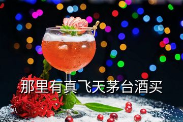 那里有真飛天茅臺(tái)酒買(mǎi)