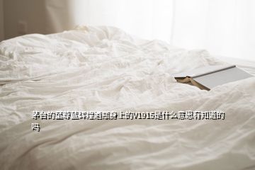 茅臺的至尊藍(lán)輝煌酒瓶身上的V1915是什么意思有知道的嗎