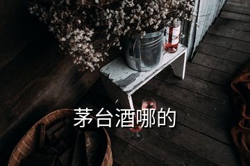 茅臺酒哪的