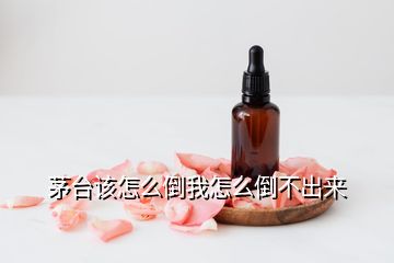 茅臺(tái)該怎么倒我怎么倒不出來(lái)