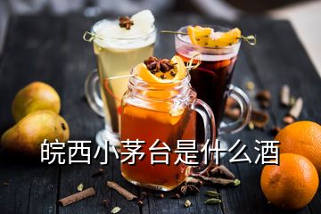 皖西小茅臺是什么酒