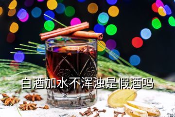 白酒加水不渾濁是假酒嗎