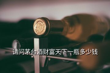 請問茅臺酒財富天下一瓶多少錢