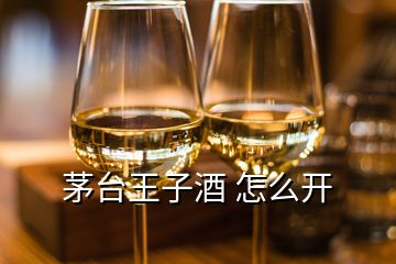 茅臺王子酒 怎么開