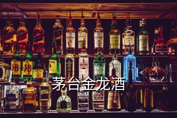 茅臺(tái)金龍酒