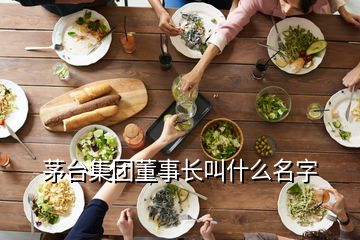 茅臺集團董事長叫什么名字