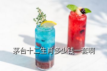 茅臺(tái)十二生肖多少錢(qián)一套啊