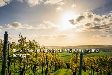 貴州茅臺(tái)值不值得貴州茅臺(tái)2021年年報(bào)預(yù)測(cè)貴州茅臺(tái)的邏輯和趨勢(shì)百