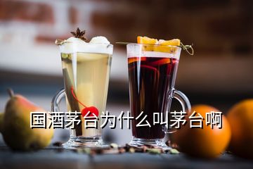 國酒茅臺為什么叫茅臺啊