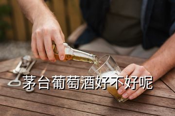 茅臺葡萄酒好不好呢