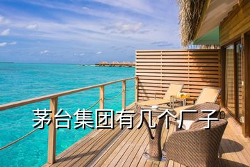 茅臺集團有幾個廠子