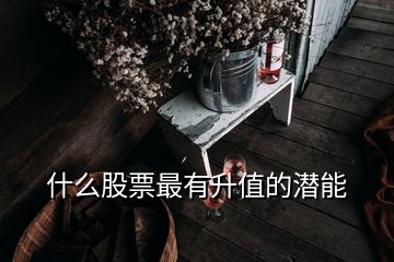 什么股票最有升值的潛能