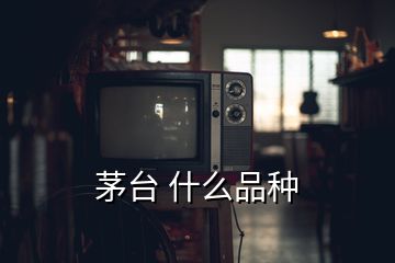 茅臺(tái) 什么品種