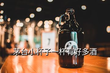 茅臺小杯子一杯有好多酒