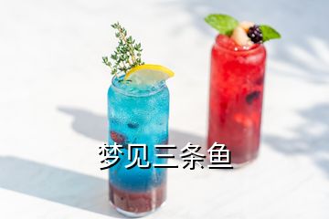 夢見三條魚