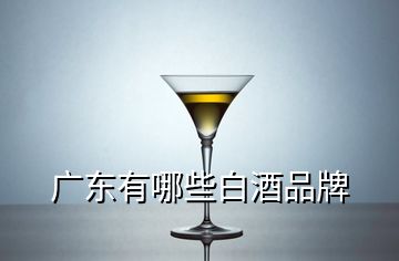 廣東有哪些白酒品牌