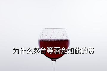 為什么茅臺(tái)等酒會(huì)如此的貴