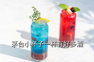 茅臺小杯子一杯有好多酒