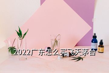 2022廣東怎么買飛天茅臺