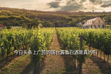 今日頭條上廣告的國(guó)臺(tái)醬香白酒是真的嗎