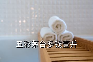 五彩茅臺(tái)多錢壹并