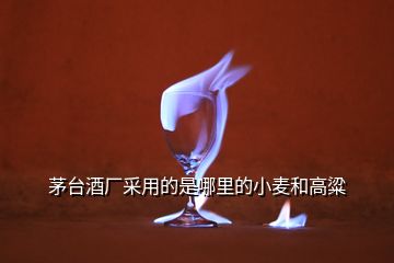 茅臺(tái)酒廠(chǎng)采用的是哪里的小麥和高粱