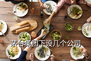 茅臺(tái)集團(tuán)下設(shè)幾個(gè)公司