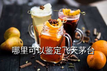 哪里可以鑒定飛天茅臺