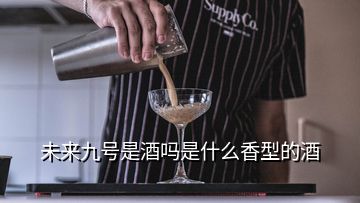 未來九號是酒嗎是什么香型的酒