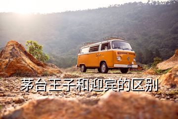 茅臺王子和迎賓的區(qū)別