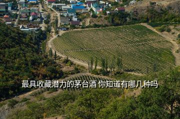 最具收藏潛力的茅臺(tái)酒 你知道有哪幾種嗎