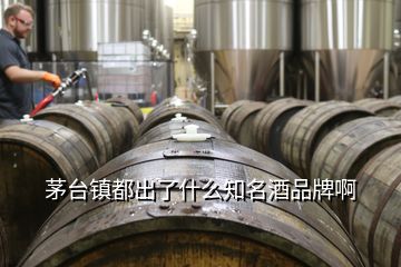 茅臺(tái)鎮(zhèn)都出了什么知名酒品牌啊