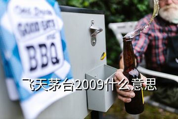 飛天茅臺2009什么意思